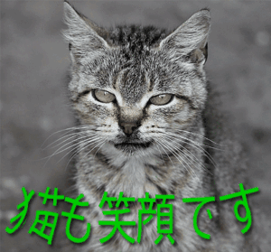 ayaSEOブログ感謝